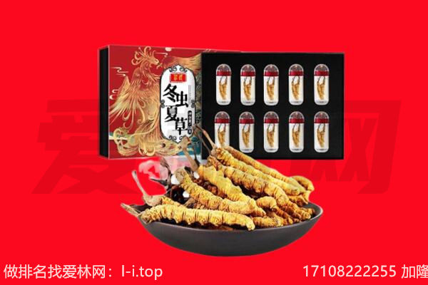 大庆回收虫草.jpg